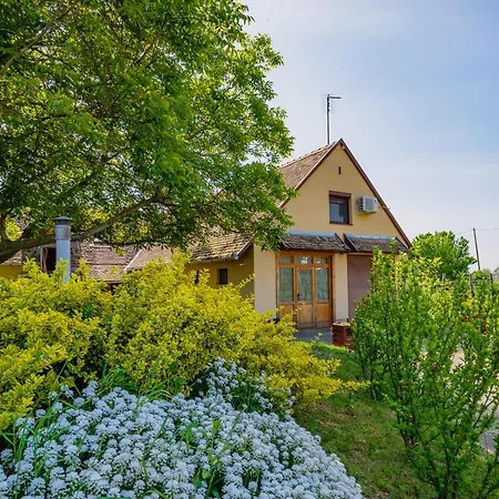 Apartament Lator-boross Vendeghaz *