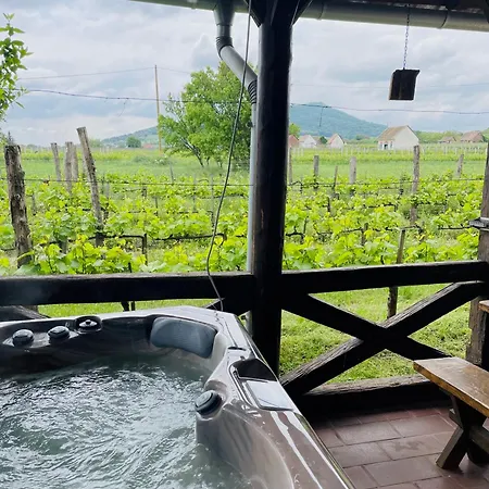 Lator-boross Vendeghaz Апартаменты *