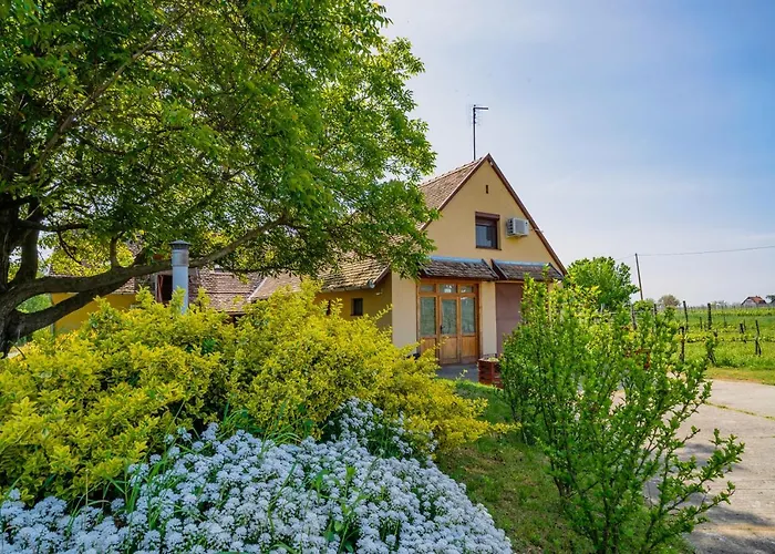 Apartament Lator-boross Vendeghaz *